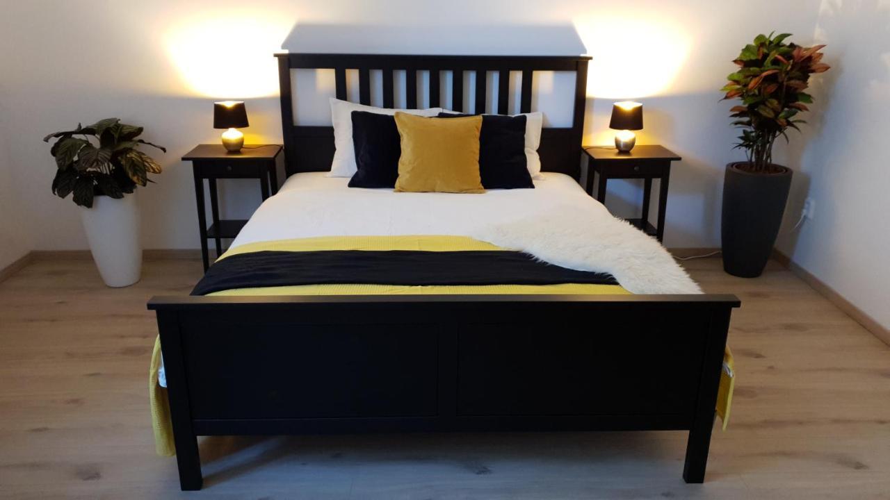 Le Monde Apartment Bratislava - Amazing 5Bdr In Downtown מראה חיצוני תמונה
